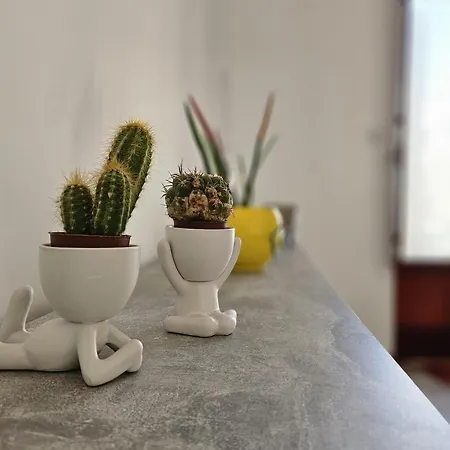 別荘 Casa Cesarina ナルド
